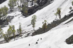 View of Pahalgam-Chandanwari area.