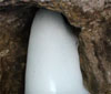 Shri Amarnathji Shivlingam